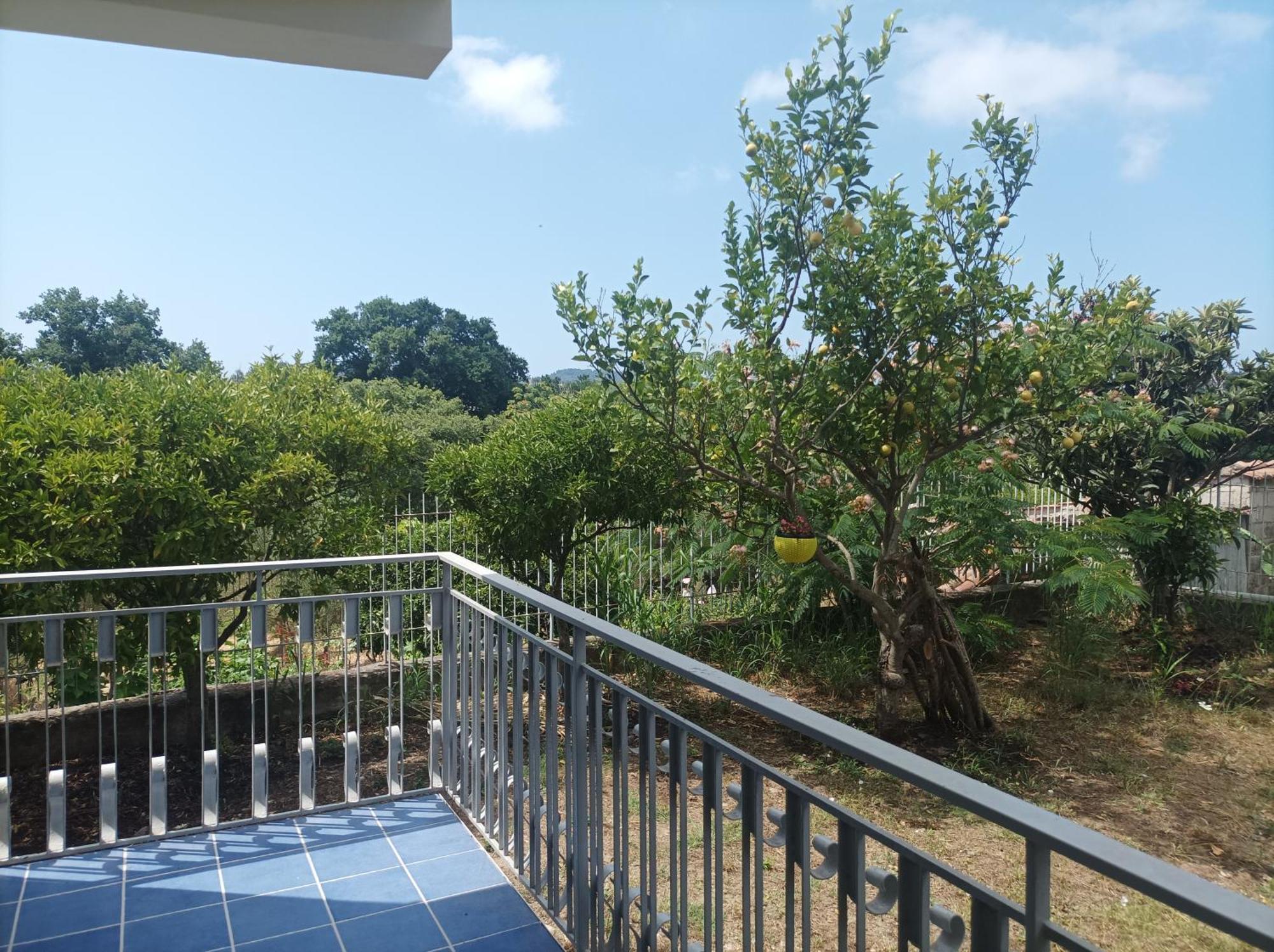Villa Giardino Degli Oleandri بالينورو المظهر الخارجي الصورة