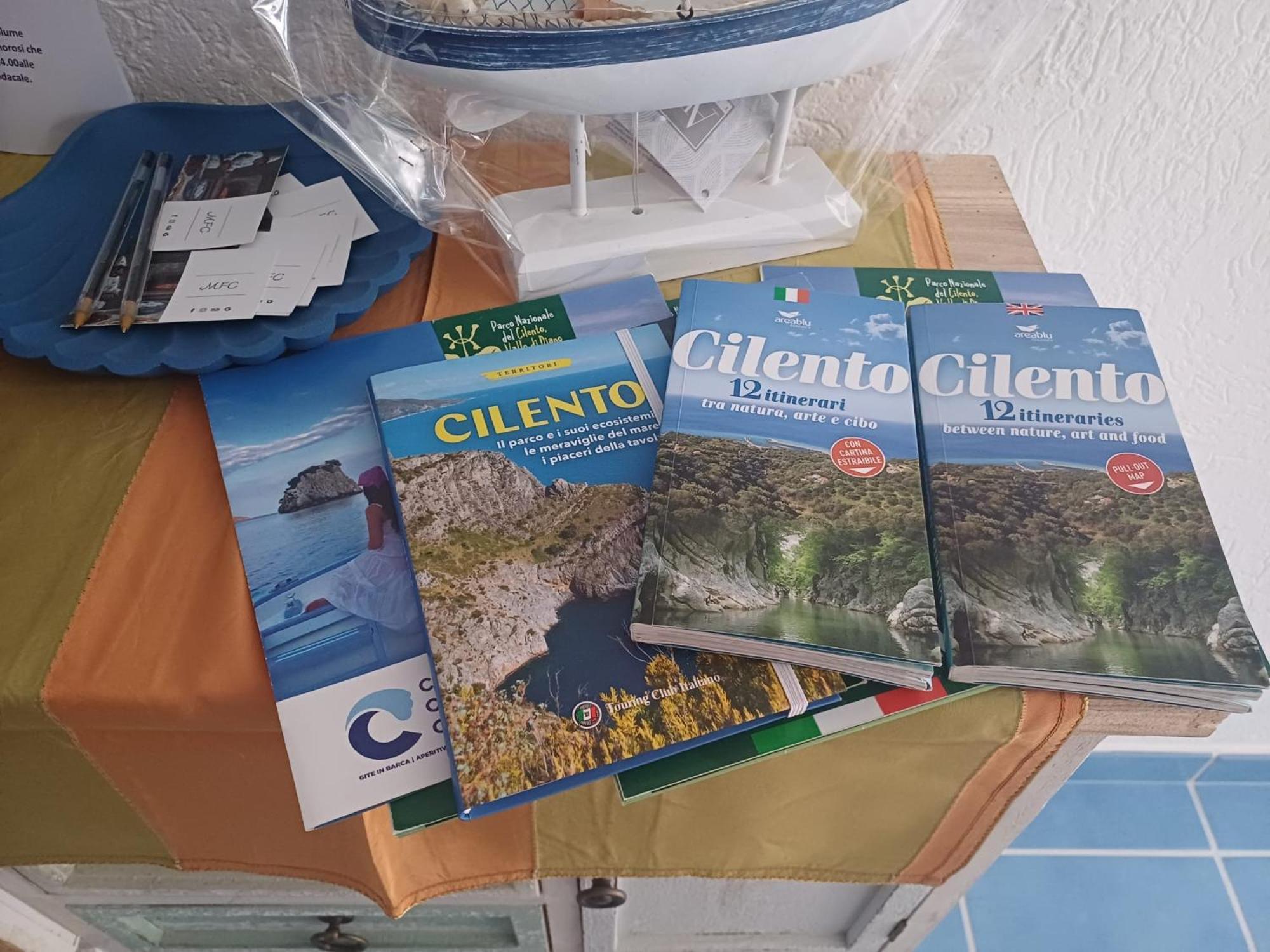 Villa Giardino Degli Oleandri بالينورو المظهر الخارجي الصورة