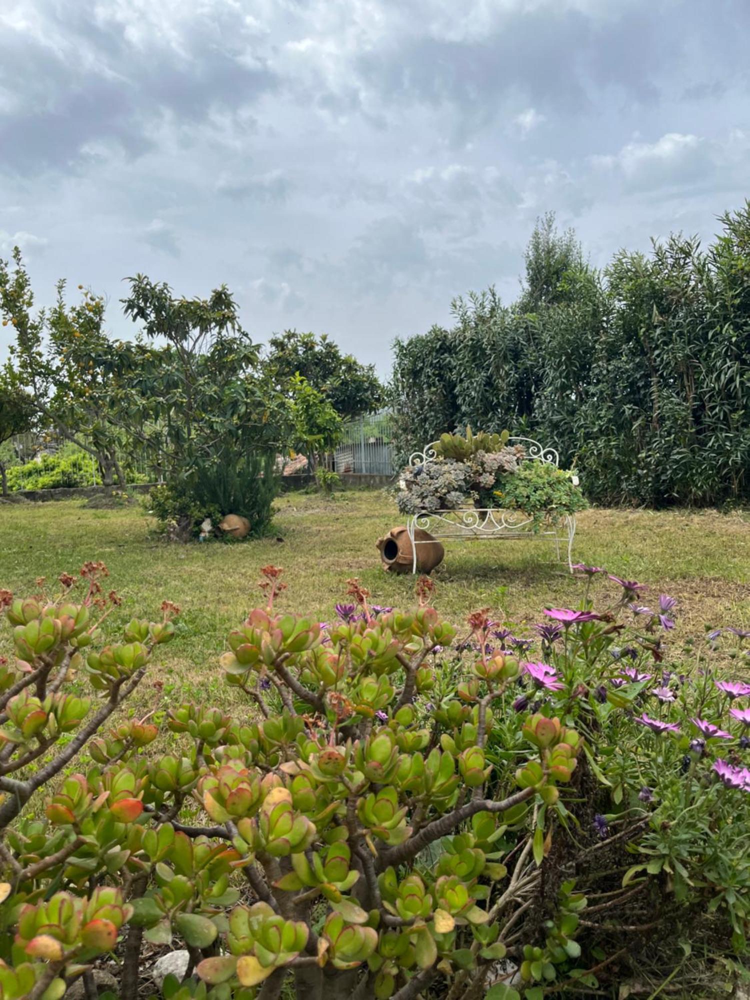 Villa Giardino Degli Oleandri بالينورو المظهر الخارجي الصورة